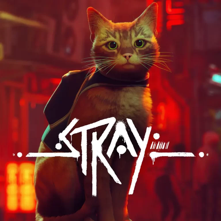 Stray Digiknowe Cover
